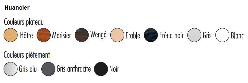 Finitions disponibles