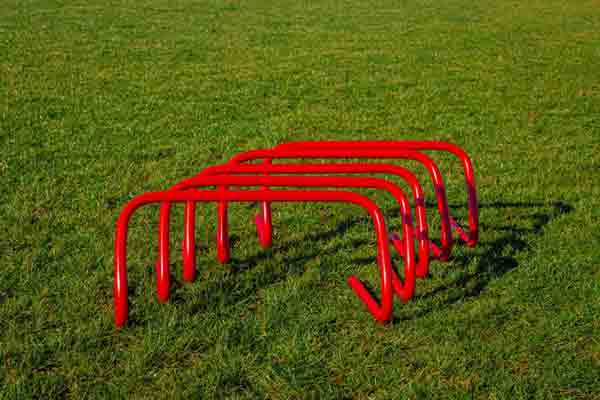 Lot de 5 haies d’entraînement - 37123312-259648116.jpg