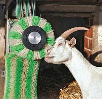 Brosse SCHURR automatique pour chèvres 370 W  - 43874742-142924924.jpg