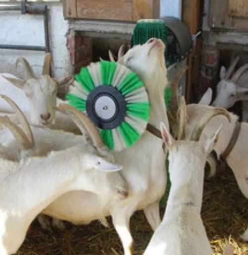 Brosse SCHURR automatique pour chèvres 370 W  - 43874742-616184868.jpg