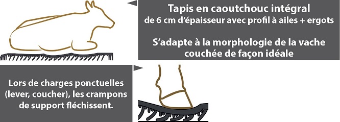 Tapis de couchage wingflex en caoutchouc pour vache 6 cm  - 47287691-574796143.jpg