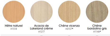 Coloris plateau<br>Autres coloris sur demande
