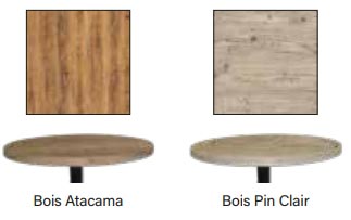 Plateau de table restaurant en stratifié moulé - 59816523-667262177.jpg