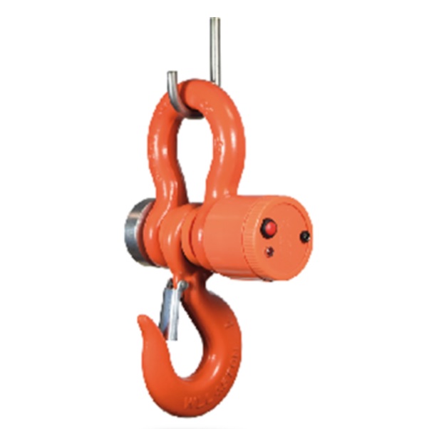 Crochet peseur en fonte - De 3 à 30 tonnes - 0 °C à + 40 °C - 67493323-894139721.jpg