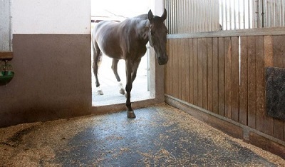 Tapis Belmondo® en caoutchouc pour chevaux  - 72631775-924563897.jpg