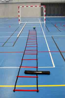   Echelle d'agilité 4 mètres - 75137825-445924146.jpg