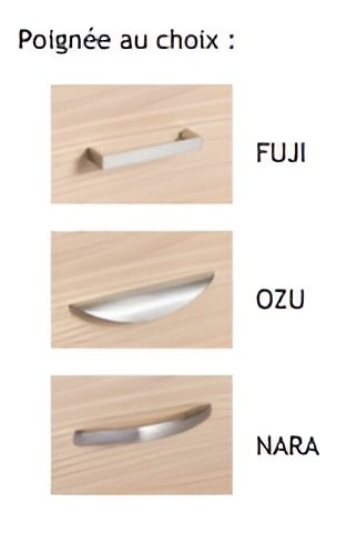 Standards : FUJI et MARA<br>Sur demande : OZU