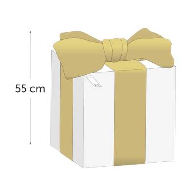 Blanc et doré - 55 x 45 x 45 cm