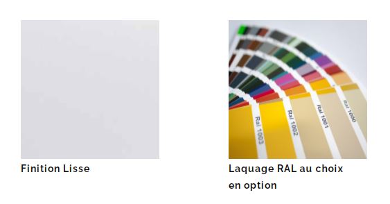 Porte de garage sectionnelle - Refoulement plafond - Manuelle ou électrique  - 96475989-129212145.JPG