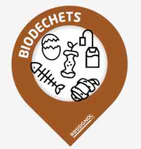 Lot de 10 stickers Marron COLLEC  - 97545117-348293663.jpg