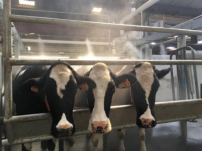 Brumisateur anti-mouches avec temporisation intégrée   - 97762272-447739253.jpg