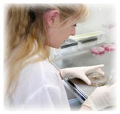 Marketing opérationnel