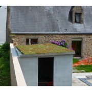Toiture végétale