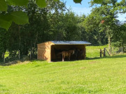 Abri de prairie pour chevaux