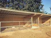 Abri râtelier chevaux 3 x 6m