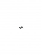 Antivol de bouteille de champagne 