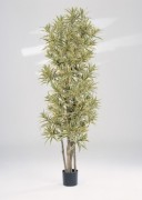 Arbre dracaena reflexa artificiel - Hauteur : 184 cm
