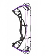Arc à poulies carbon