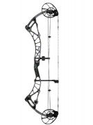 Arc à poulies moderne