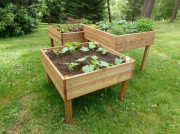 Tables potagères en bois
