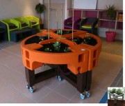 Jardin surélevé thérapeutique