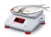 Balance de contrôle agro-alimentaire - Portée 1.5 à 30 kg - Précision 0.2 à 5 g