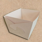 Barquette en carton pour l'emballage et le transport de fruits