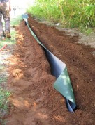 Barrière anti racine