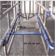 Barrière de contention anti-recul pour bovin