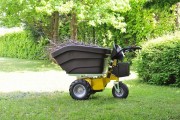 Brouette électrique professionnelle 300 kg dt300e