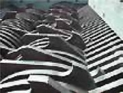 Broyeurs déchets à marteaux