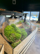 Brumisateur pour fruits et légumes