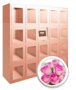 Casier automatique fleurs - 19 ou 25 casiers de 400X400X500 mm