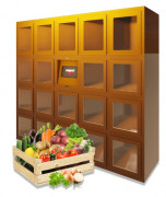 Casier de distribution automatique de fruits et légumes - 19 ou 25 casiers de 400X400X500 mm