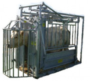 Cellule de contention