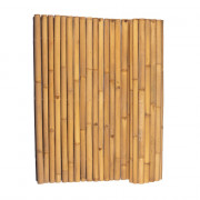 Clôture bambou naturel 40/60mm