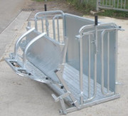 Cage et barrières de contention pour ovins