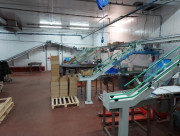 Convoyeurs pour cartons