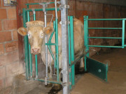 Cornadis box de soins