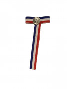 Cravate de diplôme 20 ans