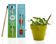 Crayon à graines mine graphite personnalisable