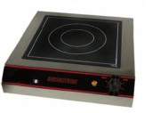 Cuiseur à induction 230 volts