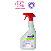 Détergent désinfectant 750 mL