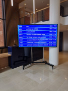 Ecrans d'affichage dynamique LCD