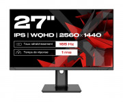 ?cran PC gaming 27" IPS WQHD 165 Hz
