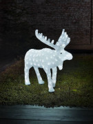 Structure lumineuse en 3D élan - LED blanc - Intérieur ou extérieur