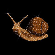 Structure lumineuse en 3D animaux - Lumière fixe ou scintillante