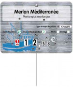 Étiquette poissonnerie 4 roulettes prix - Format : 14 x 10 cm - 4 roulettes prix - Pique inox