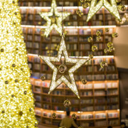 Etoile lumineuse 2D LED 24 V