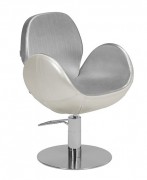 Fauteuil coiffure design
